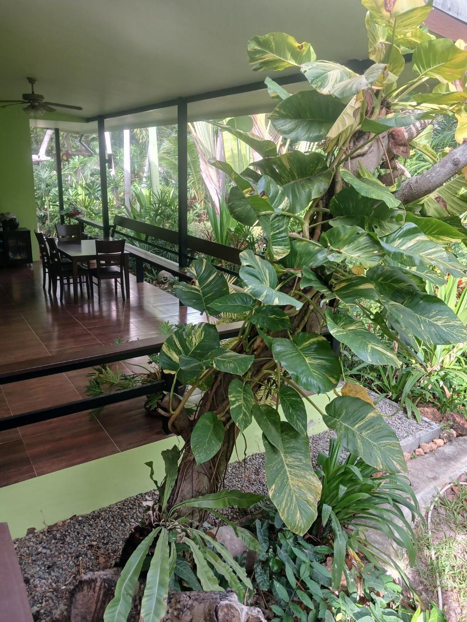 Apartamento Farm Madame Fleur Cha-Am Exterior foto